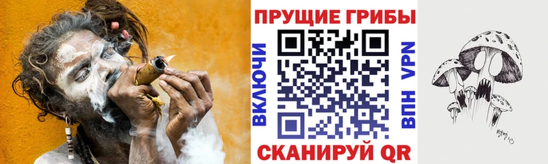 Галлюциногенные грибы Magic Shrooms наркошоп Пролетарск